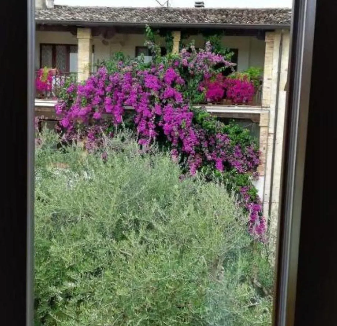 Dolce Lago B&B San Felice del Benaco 0*,  Italien
