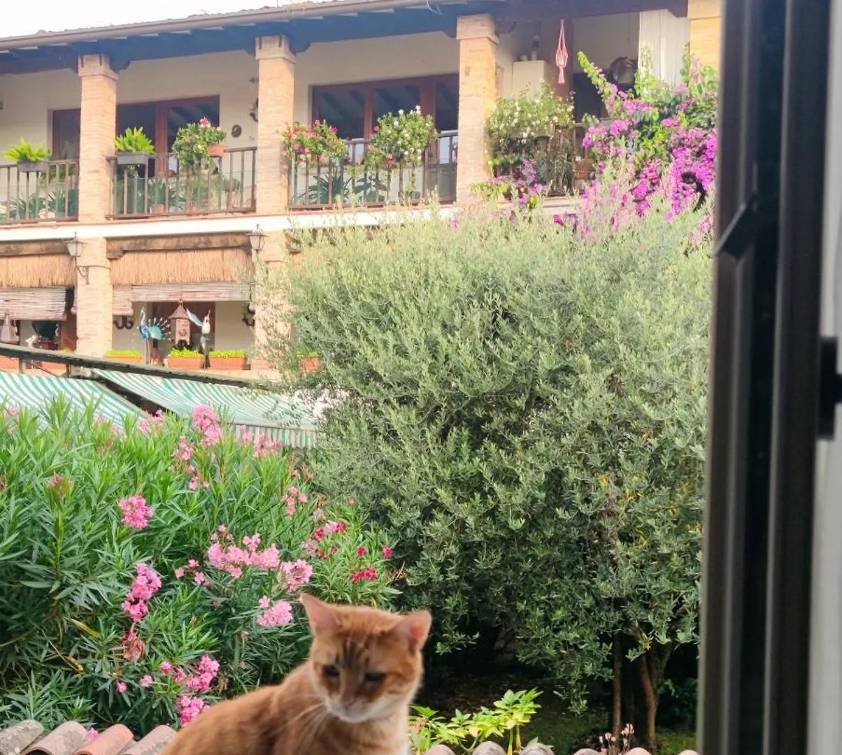 Dolce Lago B&B San Felice del Benaco Bed and Breakfast